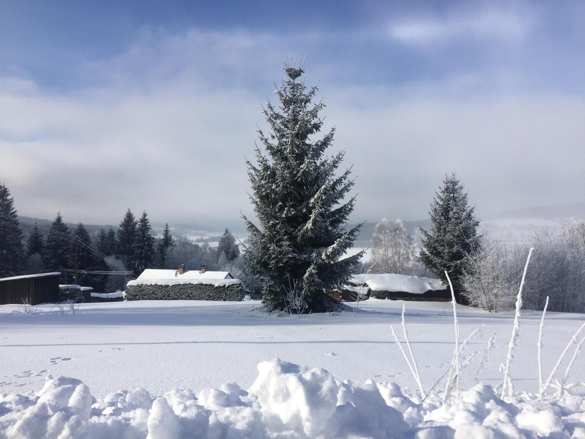 Apartmány HÁJOVNA Lipno Loučovice Exterior foto